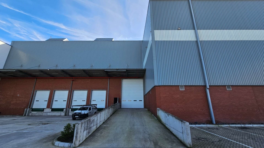 To Let commercial Property for Rent in Airport Industria Western Cape